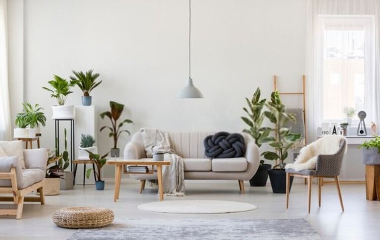 How To Buy And Maintain An Indoor Area Rug Or Carpet? How To Buy And Maintain An Indoor Area Rug Or Carpet?