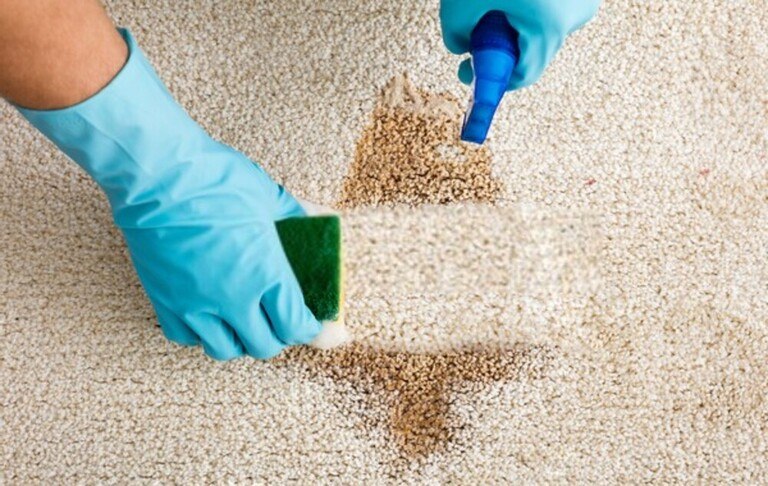 How To Buy And Maintain An Indoor Area Rug Or Carpet? How To Buy And Maintain An Indoor Area Rug Or Carpet?