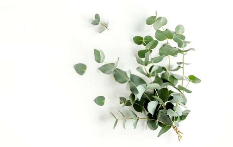10 Ways To Make Your Bathroom Smell Like A Spa 10 Ways To Make Your Bathroom Smell Like A Spa