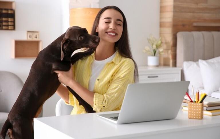 How To Combine a Home Office & Guest Bedroom? How To Combine a Home Office & Guest Bedroom?