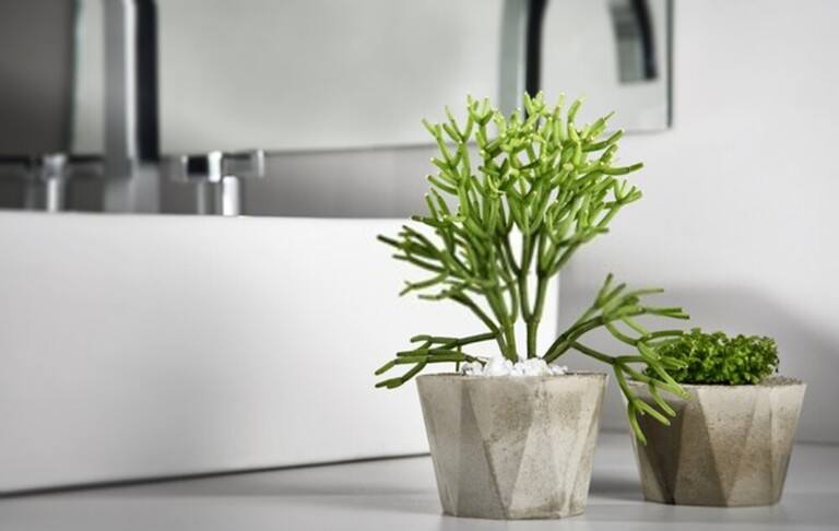 What Can I Do to Warm Up an All-White Bath? What Can I Do to Warm Up an All-White Bath?