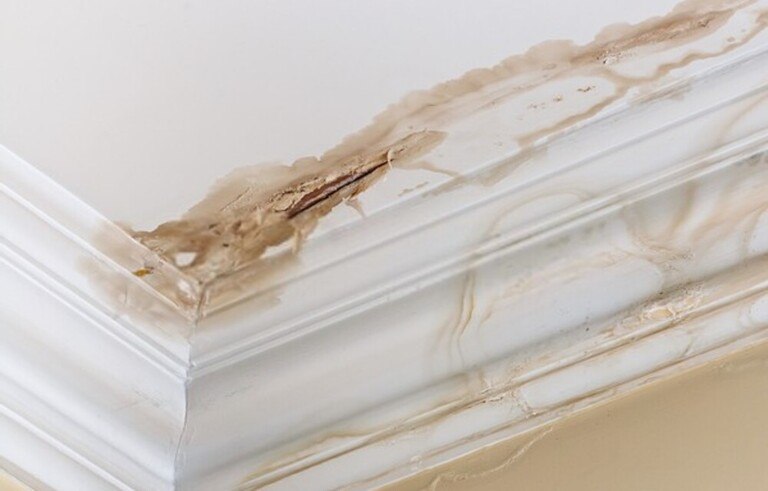 How to Repair a Water Damaged Ceiling? How to Repair a Water Damaged Ceiling?