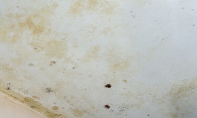 How to Repair a Water Damaged Ceiling? How to Repair a Water Damaged Ceiling?