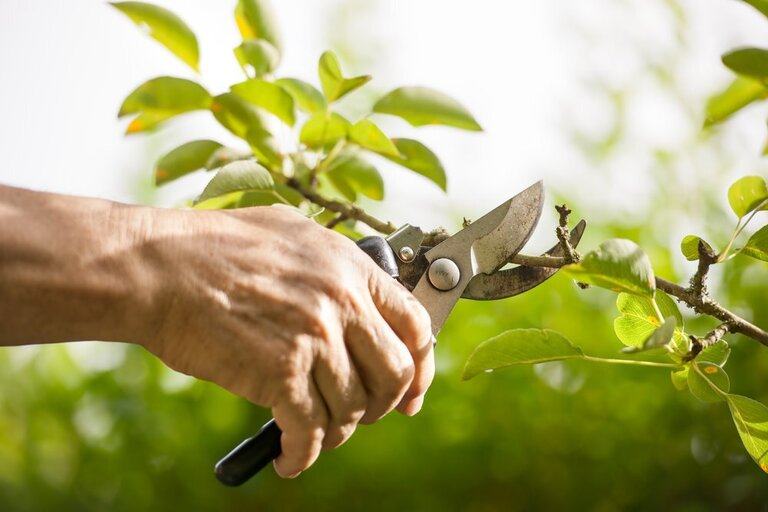 Landscaping Ideas for a Windy Location Landscaping Ideas for a Windy Location