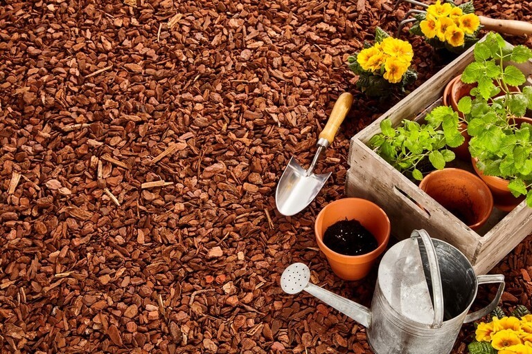 Landscaping Ideas for a Windy Location Landscaping Ideas for a Windy Location
