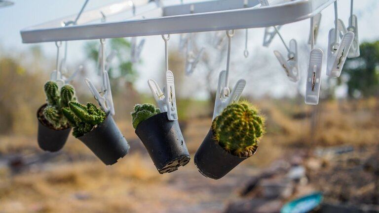 Creatively Stylish Ways to Decorate House with Succulents Creatively Stylish Ways to Decorate House with Succulents