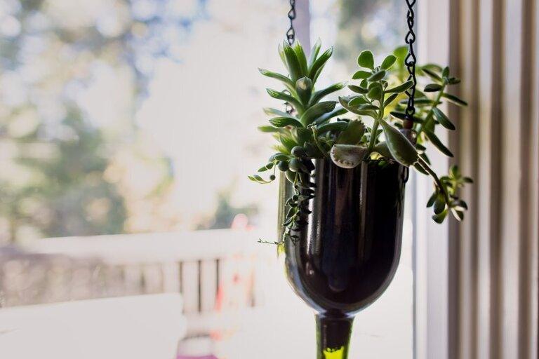 Creatively Stylish Ways to Decorate House with Succulents Creatively Stylish Ways to Decorate House with Succulents