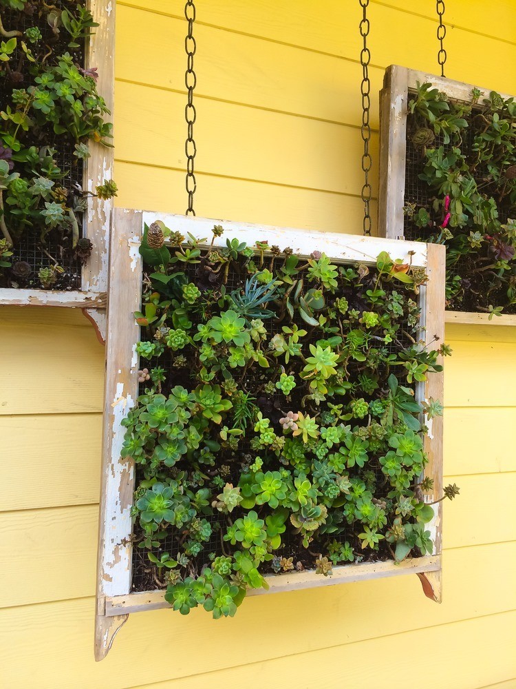 Creatively Stylish Ways to Decorate House with Succulents Creatively Stylish Ways to Decorate House with Succulents