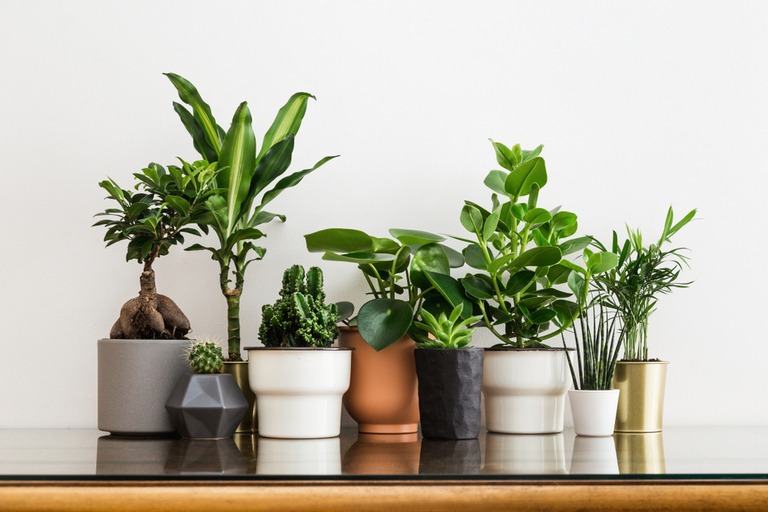 Mini Makeovers to Add Fresh Style to Your Spaces Mini Makeovers to Add Fresh Style to Your Spaces