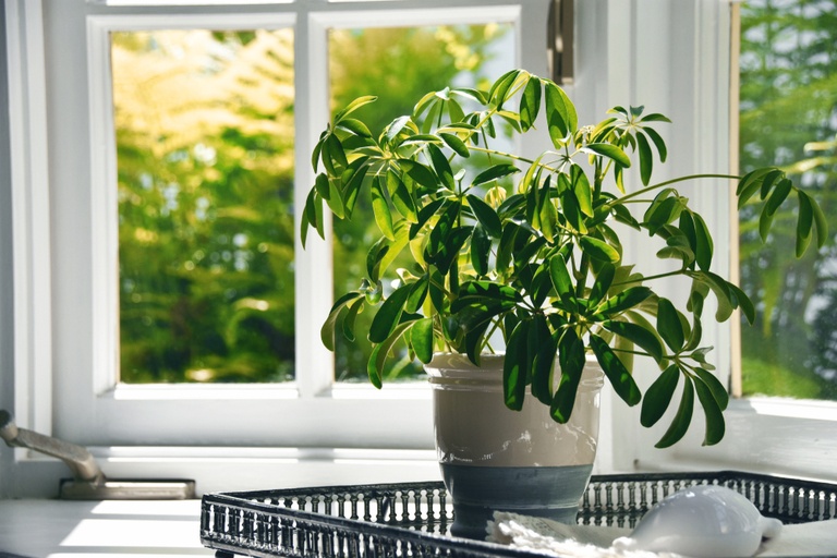 Mini Makeovers to Add Fresh Style to Your Spaces Mini Makeovers to Add Fresh Style to Your Spaces