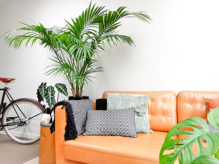 Mini Makeovers to Add Fresh Style to Your Spaces Mini Makeovers to Add Fresh Style to Your Spaces