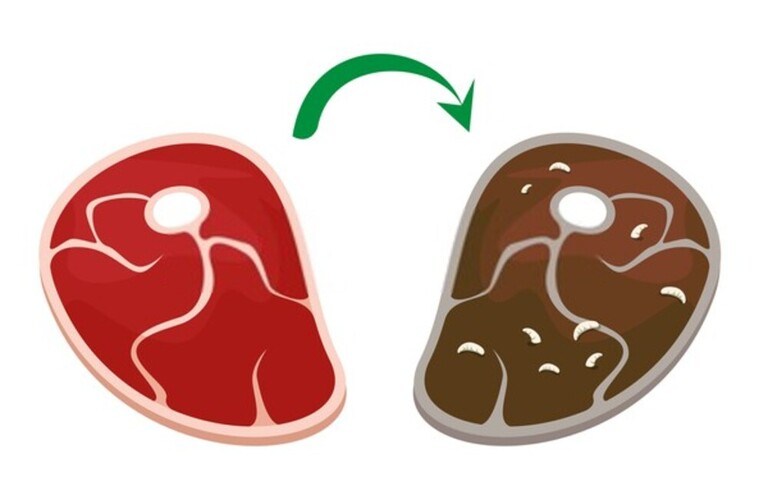 How to Tell if Steak is Bad, Gone off, or Spoiled How to Tell if Steak is Bad, Gone off, or Spoiled