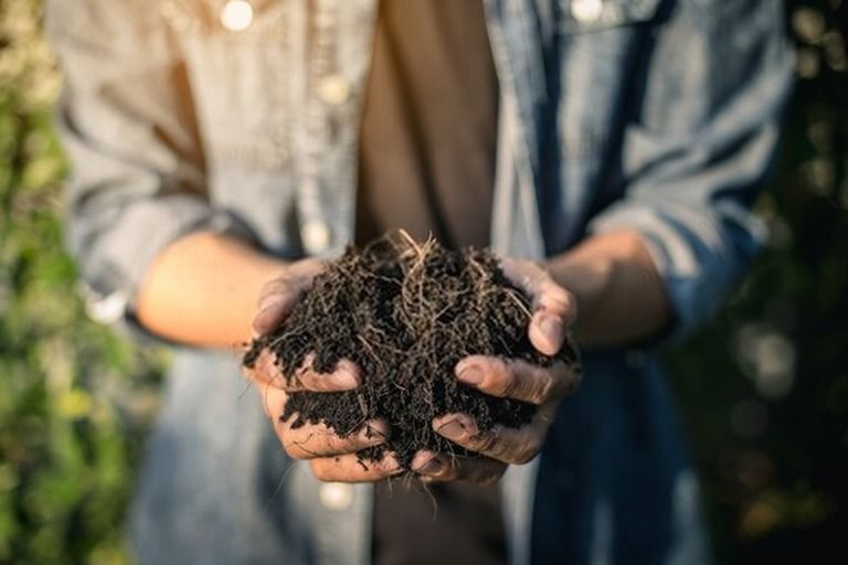 How Do You Make Compost At Home? - Step By Step Guide How Do You Make Compost At Home? - Step By Step Guide