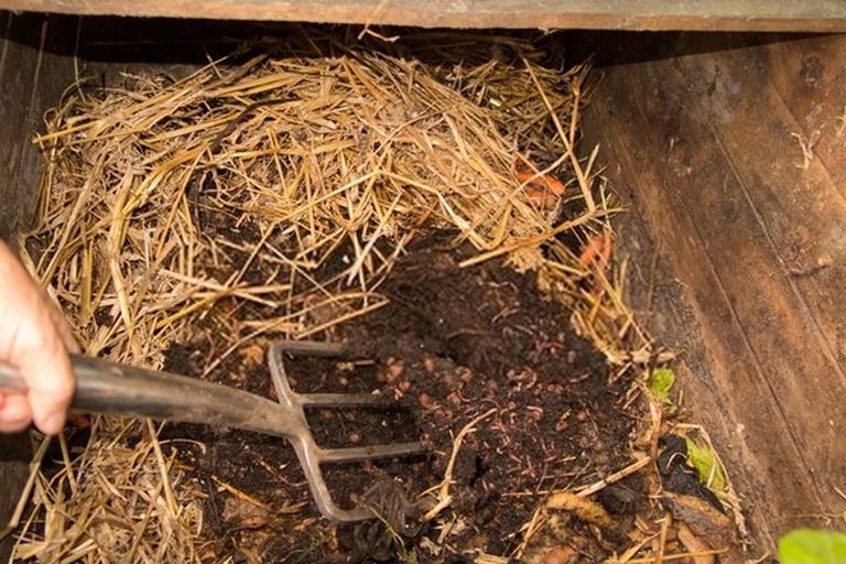 How Do You Make Compost At Home? - Step By Step Guide How Do You Make Compost At Home? - Step By Step Guide