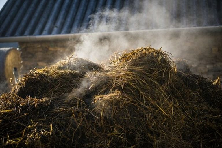 How Do You Make Compost At Home? - Step By Step Guide How Do You Make Compost At Home? - Step By Step Guide