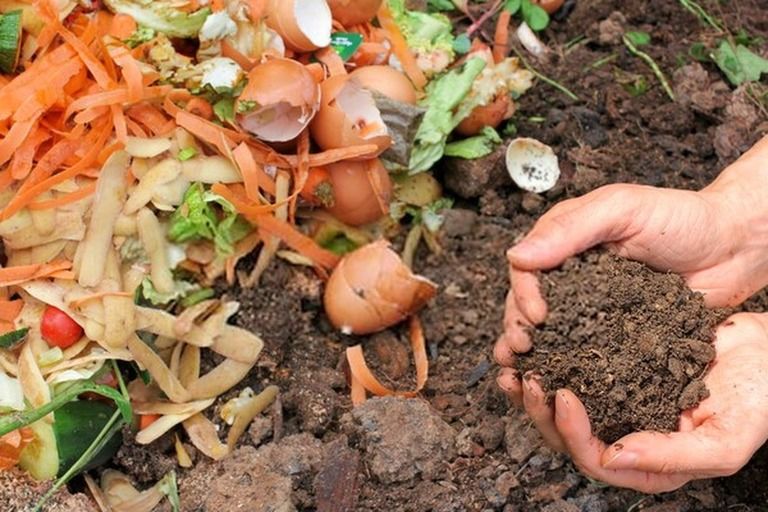 How Do You Make Compost At Home? - Step By Step Guide How Do You Make Compost At Home? - Step By Step Guide