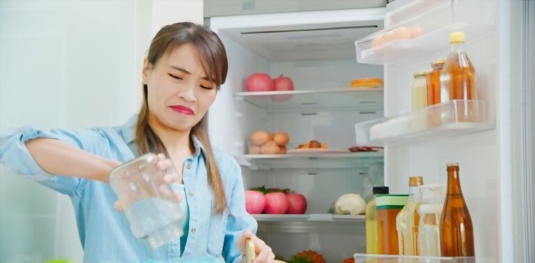 Ways To Fight Germs And Clutter In Your Kitchen Ways To Fight Germs And Clutter In Your Kitchen
