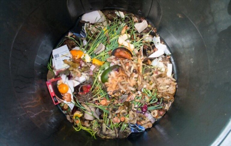 10 Ways to Make Your Kitchen More Green 10 Ways to Make Your Kitchen More Green