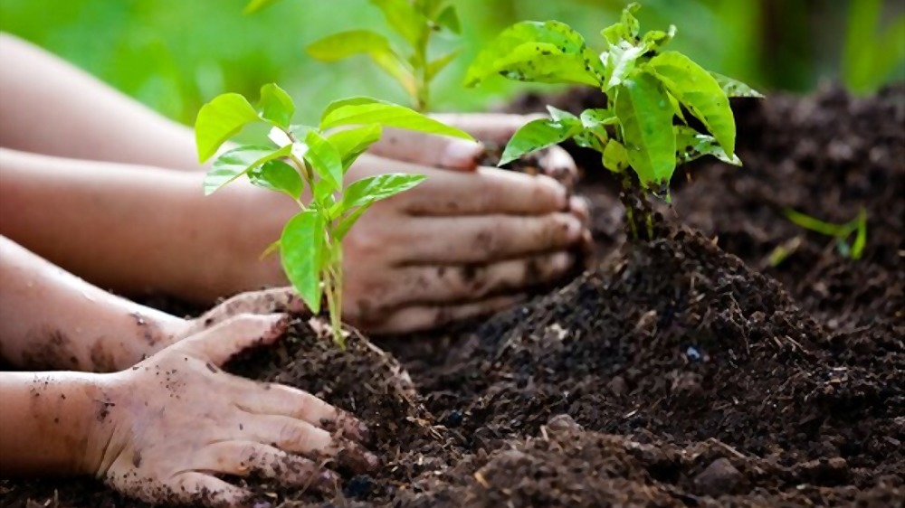 Gardening With Toddlers’ Activities Gardening With Toddlers’ Activities