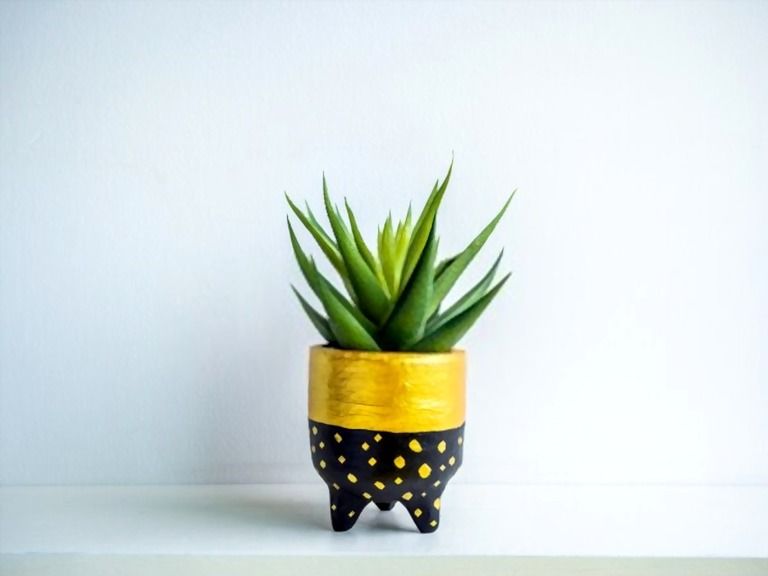 Decorating With Greenery Ideas - Tips For First-time Homeowners Decorating With Greenery Ideas - Tips For First-time Homeowners