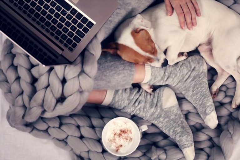 What Makes A Home Cozy And Welcoming? What Makes A Home Cozy And Welcoming?