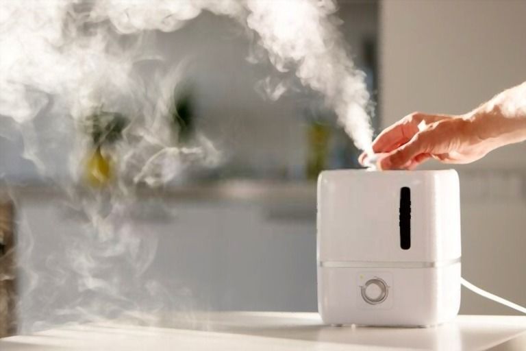 How Can I Purify The Air In My Home Naturally? How Can I Purify The Air In My Home Naturally?