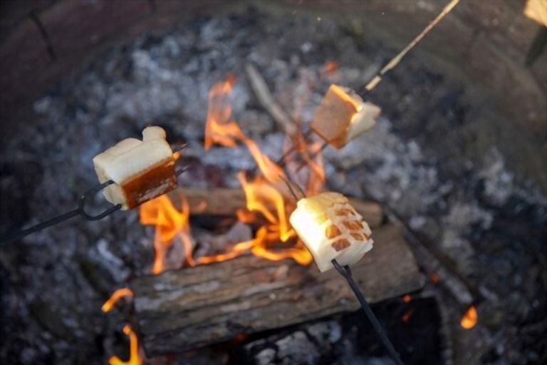 How Do You Make Camping In Your Backyard Fun? How Do You Make Camping In Your Backyard Fun?