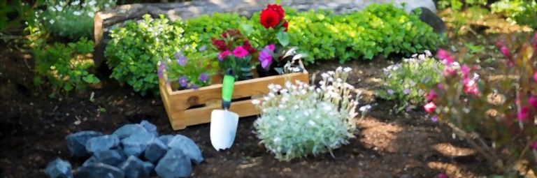 Simple Small Backyard Landscaping Ideas Simple Small Backyard Landscaping Ideas
