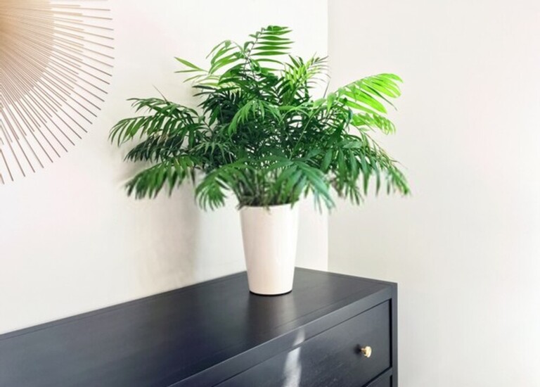 How To Reduce Humidity In House Without Dehumidifier? How To Reduce Humidity In House Without Dehumidifier?