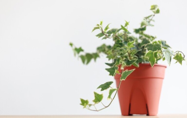 How To Reduce Humidity In House Without Dehumidifier? How To Reduce Humidity In House Without Dehumidifier?