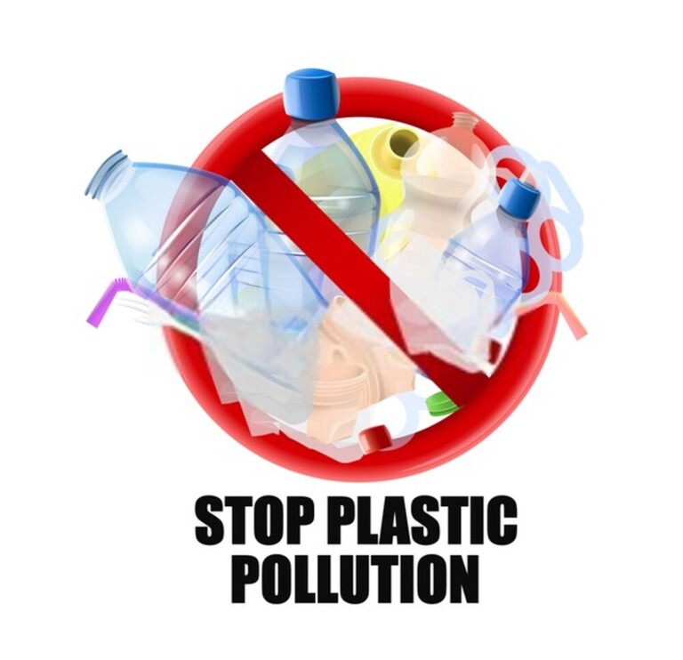 15 Tips To Make Your Home More Green 15 Tips To Make Your Home More Green
