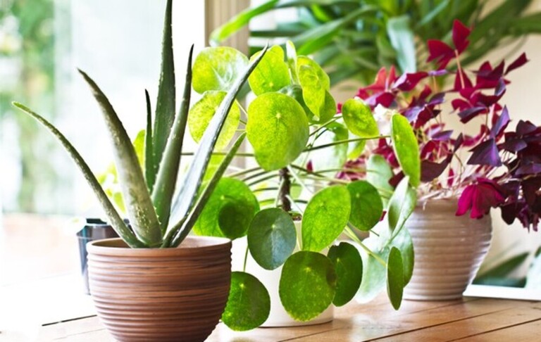 15 Tips To Make Your Home More Green 15 Tips To Make Your Home More Green