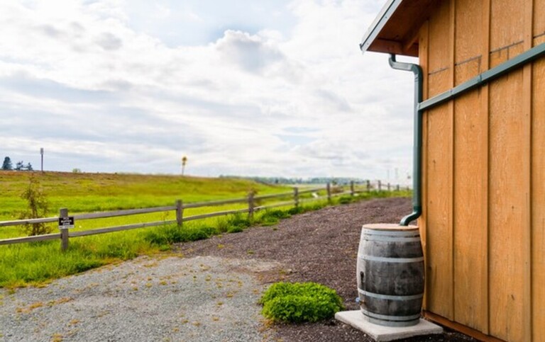 15 Tips To Make Your Home More Green 15 Tips To Make Your Home More Green