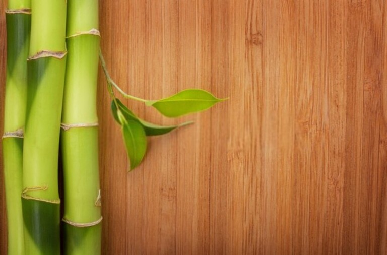 15 Tips To Make Your Home More Green 15 Tips To Make Your Home More Green