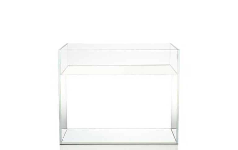 Why Do Betta Fish Fight and How to Stop Them? Why Do Betta Fish Fight and How to Stop Them?
