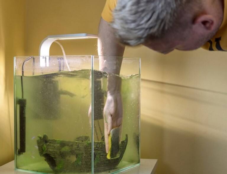 How to Convert a Saltwater Tank to Freshwater? How to Convert a Saltwater Tank to Freshwater?
