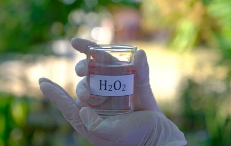 How Do You Treat A Bacterial Infection In A Betta Fish? How Do You Treat A Bacterial Infection In A Betta Fish?